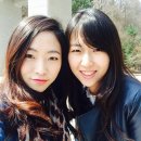 아리엔