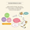 고양이더위 고양이스트레스를 날려줄 스마크 마따따비 후기!