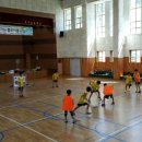 호저초등학교 이미지