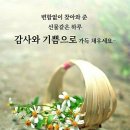 창4동 이미지