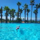 팜밸리리조트 | 소노캄 제주 리조트 수영장보다 팜밸리 풀빌라 리조트 선택한 이유