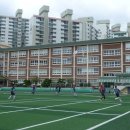 다윈공인중개사사무소 이미지