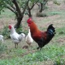 산이네농장 이미지