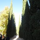 알함브라 궁전내 헤네랄리페 정원 산책 (30). 이미지