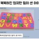 초평가배 이미지