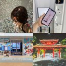 리틀아트 미니어쳐 | 나홀로 오키나와 여행 : 리틀 유니버스 오키나와 (차, 렌트카 없이 뚜벅이로 가볼만한 곳)