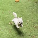 오하브글램핑 네이버블로그