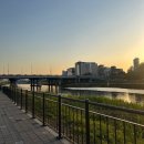 직장인 취미마라토너 서하마 하프 다녀왔으요