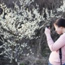 고목초등학교 이미지