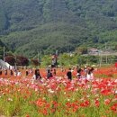 꽃내린영농조합법인 이미지