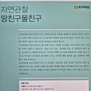 책과 글나무 | 웅진 땅친구물친구 아기 자연관찰 전집 첫 자연관찰책 후기