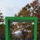 뚝섬경마장과 골프장이었으나 지금은 서울도심의 대표적인 녹색쉼터인 성동구 서울숲의 예쁜 가을풍경사진옮기기. 이미지