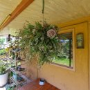 쿠시쿠시하우스 이미지