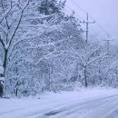 고향 - 서구 | 고향