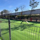 동해애견센터 이미지