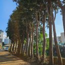 오류3길 이미지