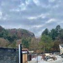 트리몰리 이미지