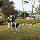 임실축산업협동조합 섬유질사료공장 | 김제 동진강낙농축협 - 정세훈 조합장