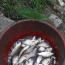 산유낚시터 이미지