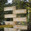 고거식당 이미지