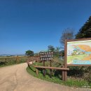 오천그린광장 | 걷기만 해도 힐링되는 여행 – 순천국가정원 오천그린광장 + 순천만 습지 실제 방문 후기