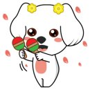 유한동물병원 이미지