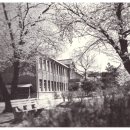 (학교)강릉제일고 이미지