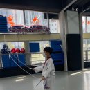 STS한국체대태권도 이미지