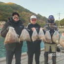 설프로 Daum카페