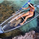 보스돼지 이미지