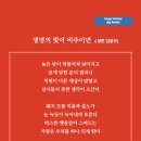 생명의 빛이 비추이면 (성천 김성수) 생일축하시 따스한 햇살같이 스며드는 사랑은 우리를 하나 되게 한다 이미지