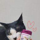 더펫샵(압량점) 이미지