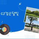 CJ 검은달빛 ◈ 무조건 즐겁게~ ◈ [종합] 16시~19시 이미지