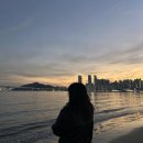 (주)서연코리아 | 2025年 : 그럼에도 새로운 봄이 오겠죠