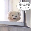 스마트치과 - 계양구 효서로 53 | 스마트치과