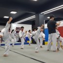 예능익스트림태권도장 이미지