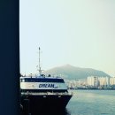 드림호약국 네이버블로그