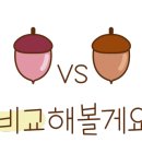 조이타일인테리어