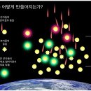 은행나무상회 - 과천시 | 은행나무상회