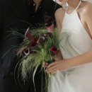 2호선스튜디오 | Wedding ep. 08 - 웨딩촬영 후기: 누도 스튜디오 2호점 후기