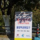미금교 | 제25회 한국국제 걷기대회 참가후기 글