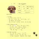 1291 | [#1291] 무무(양측 슬개골탈구 G3)의 수술후기