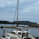 제주 돌고래 | 제주 돌고래 요트투어 후기 아이랑 서귀포 M1971에서 20분 만에 만난 돌고래🐬