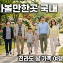 합자회사보성택시 | 5월 가볼만한곳 국내 전라도 봄 가족여행 추천 코스