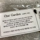 대니맥켄지 오일향수 밤쉘+블루세이지앤씨솔트 추천!