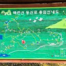 전북은행 앞 사거리 이미지