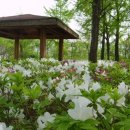 고은초등학교 이미지