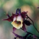 바울농장2 이미지