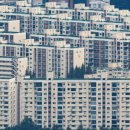 압구정-272 이미지