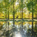 서울숲5 이미지